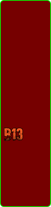 B13
